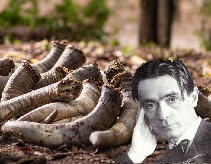 DIRECT PRESS January 2023 • BIODYNAMIC WINES Vanderbilt Ave Wine