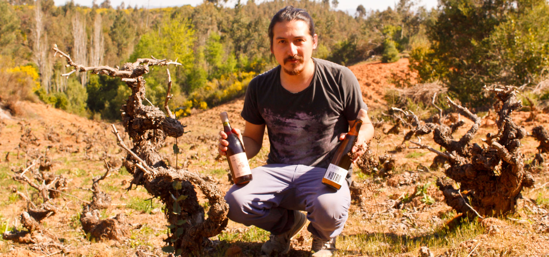 DIRECT PRESS August 2022 CHILE'S GNARLY OLD LEGACY Vanderbilt Ave