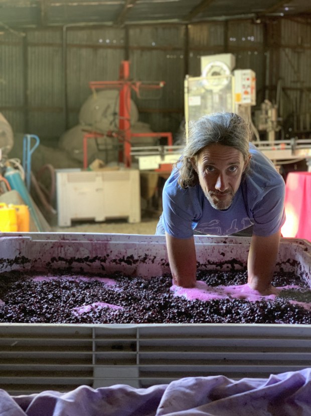 Jauma: Wizardry In Oz