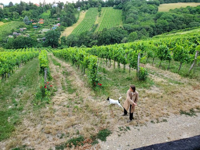 DIRECT PRESS February 2022: FIELD BLENDS