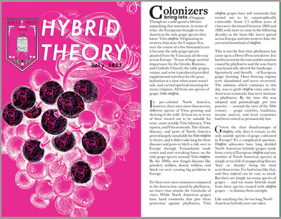 DIRECT PRESS July 2023 • Hybrid Theory
