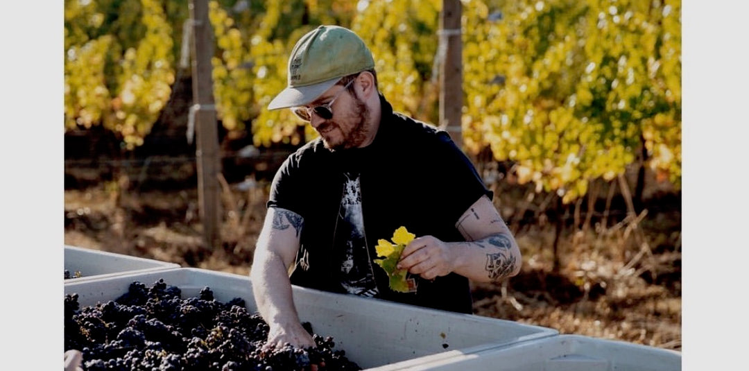 DIRECT PRESS July 2022: FROM TABLE TO VINE