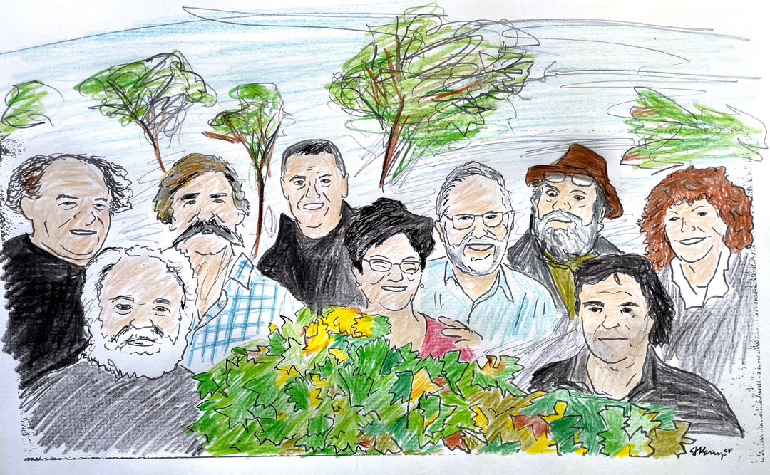 DIRECT PRESS November 2021: ROOTS OF NATURAL WINE
