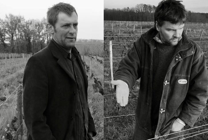 Channeling Chenin's Energy In Montlouis