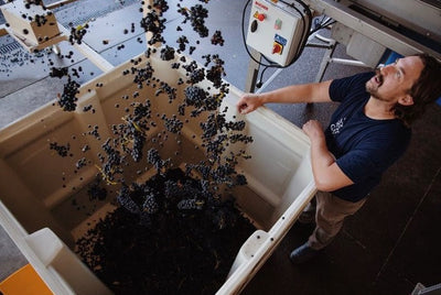 Nightshade, Thomas Monroe's Piedmont-Inspired Side Project