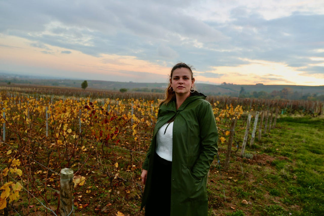 The Return of Elisa Guerin: A sold-out favorite found in the importer's warehouse