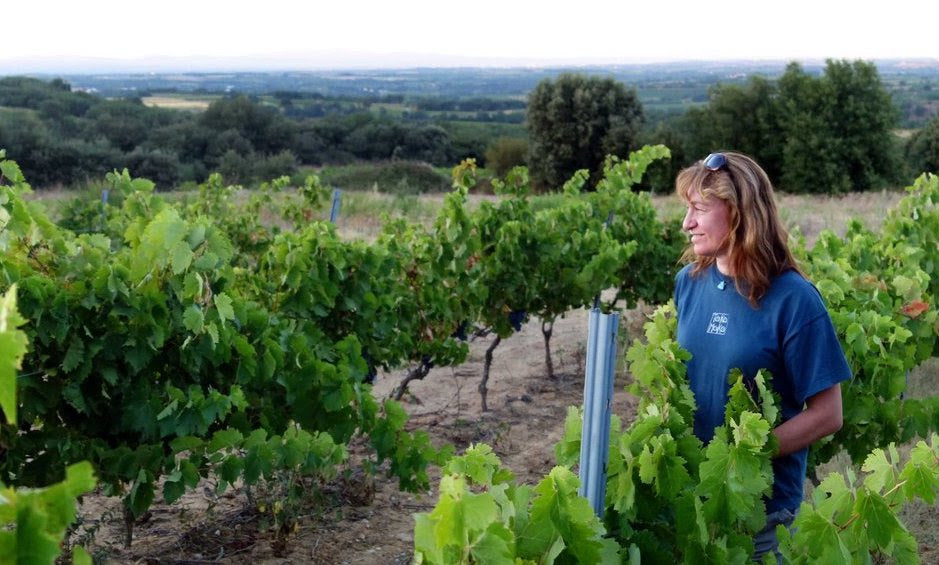 Do you like old wine? Do you want to find out?