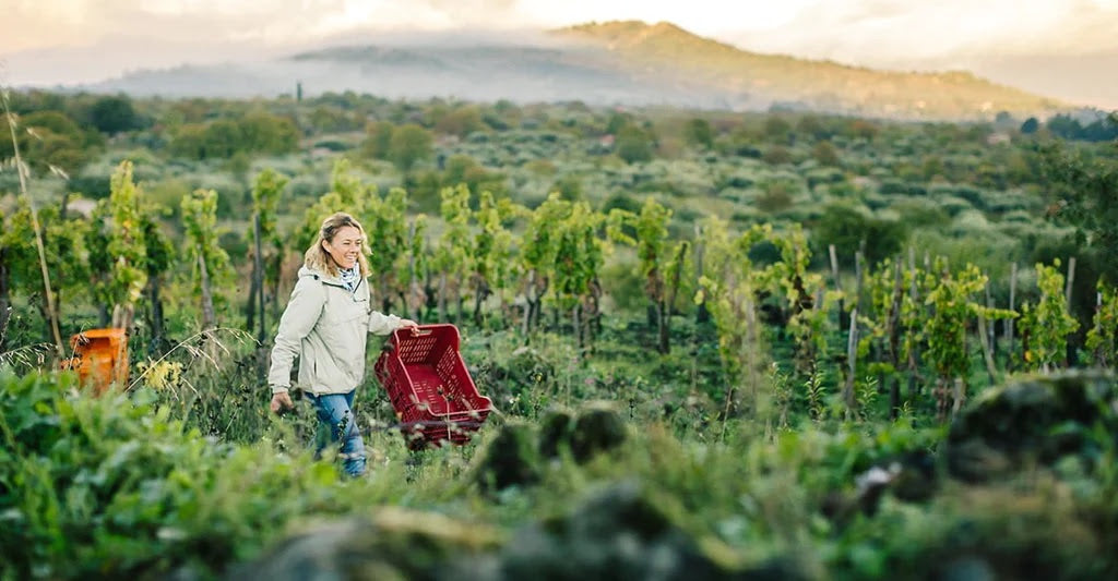Falling for Vino di Anna
