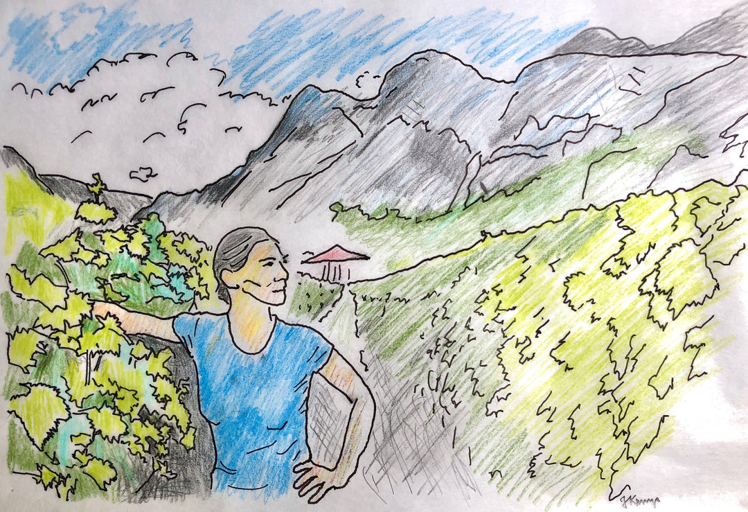 DIRECT PRESS July 2021: Italian Mountain Wines