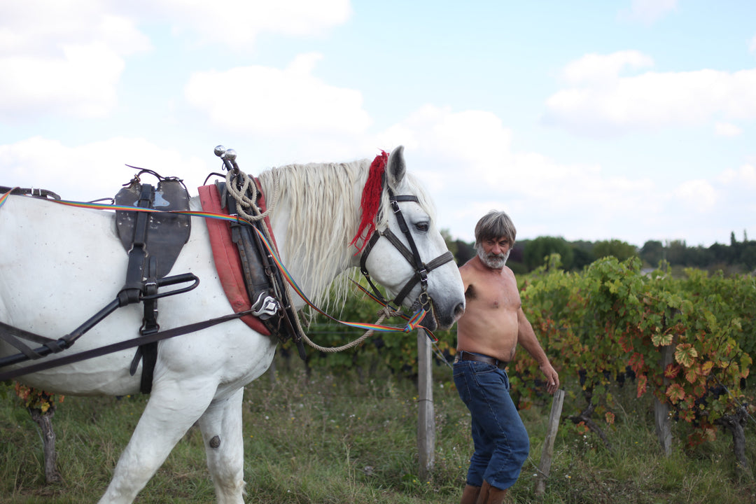 Olivier Cousin: Breaking The Law