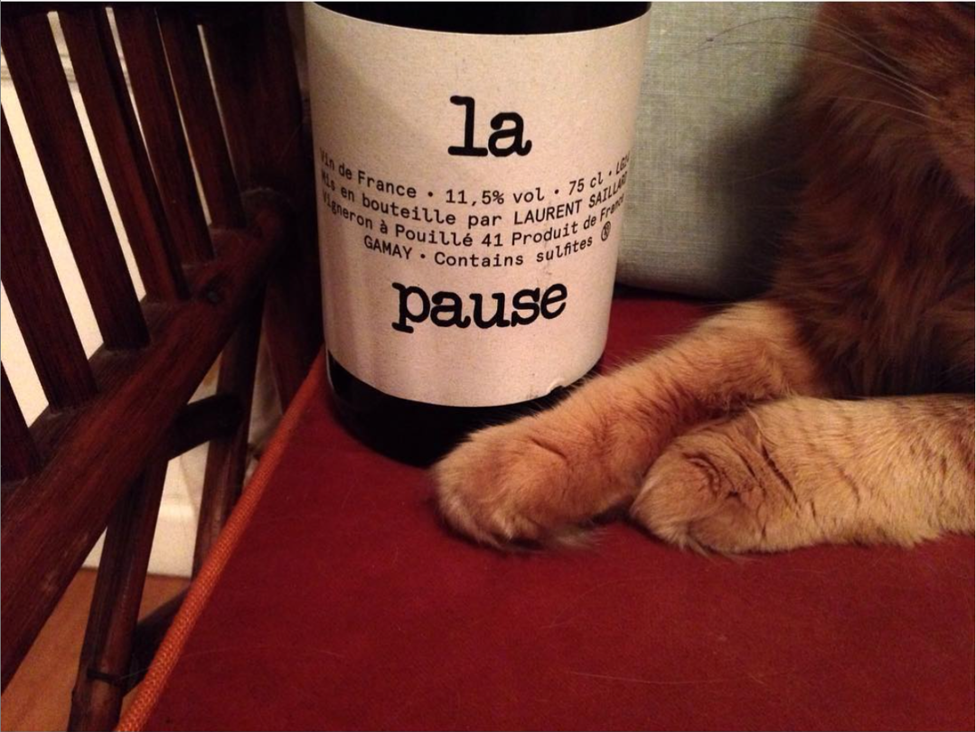Laurent Saillard—Brooklyn's Own Loire Winemaker