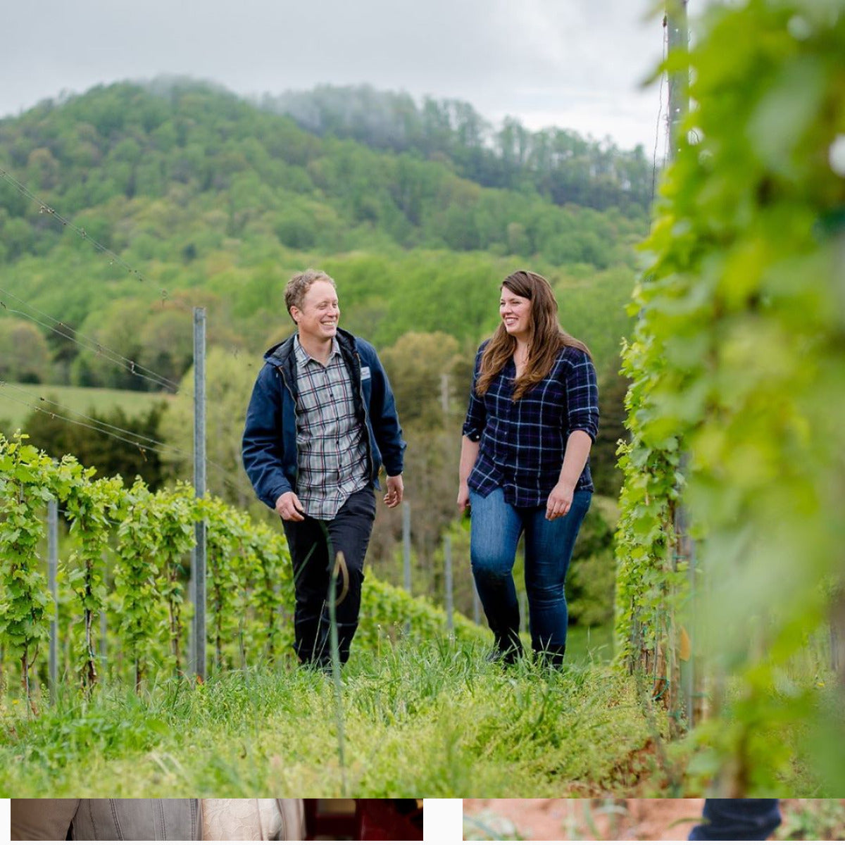 The Early Days Are Exciting: Virginia Wines' Emerging Originality