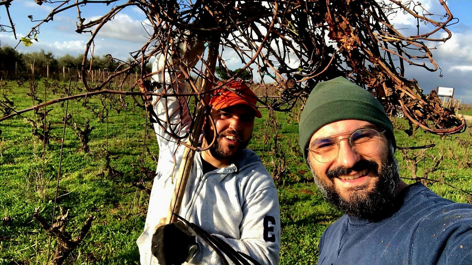 Societa Agricola Vin B