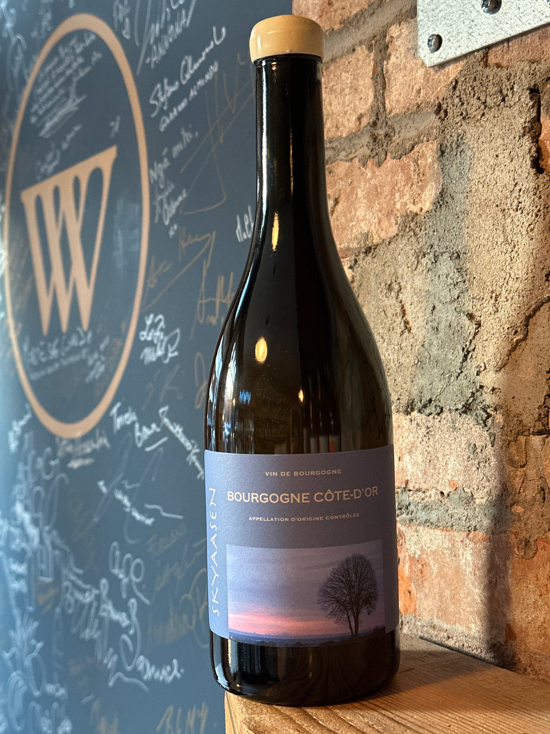 Skyaasen Bourgogne Blanc Cote d'Or 2022