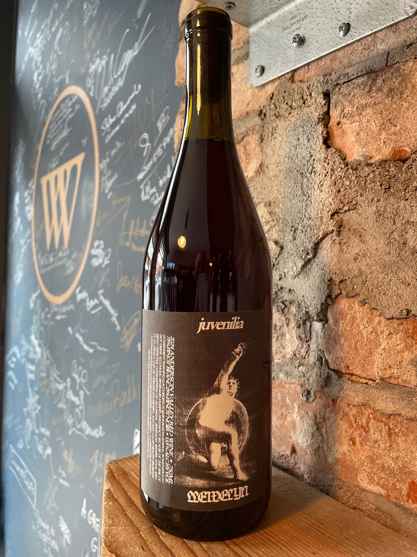 Llewelyn 'Juvenilia' Wine 2024