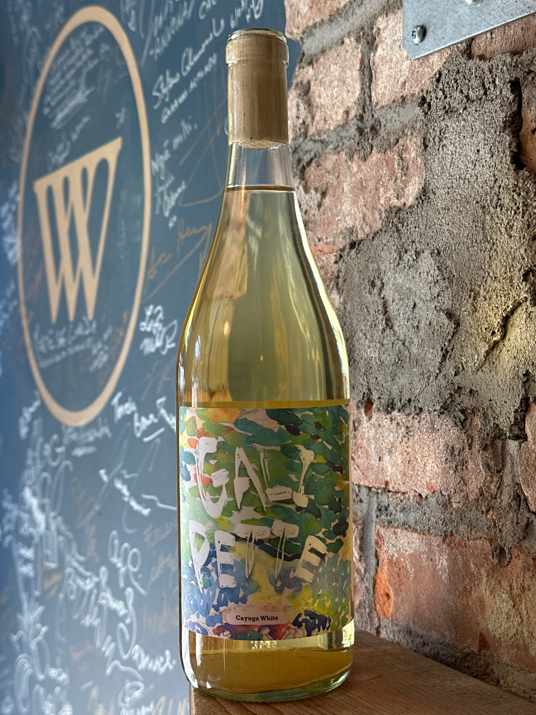 Accordion Wines "Galipette" Cayuga White 2024