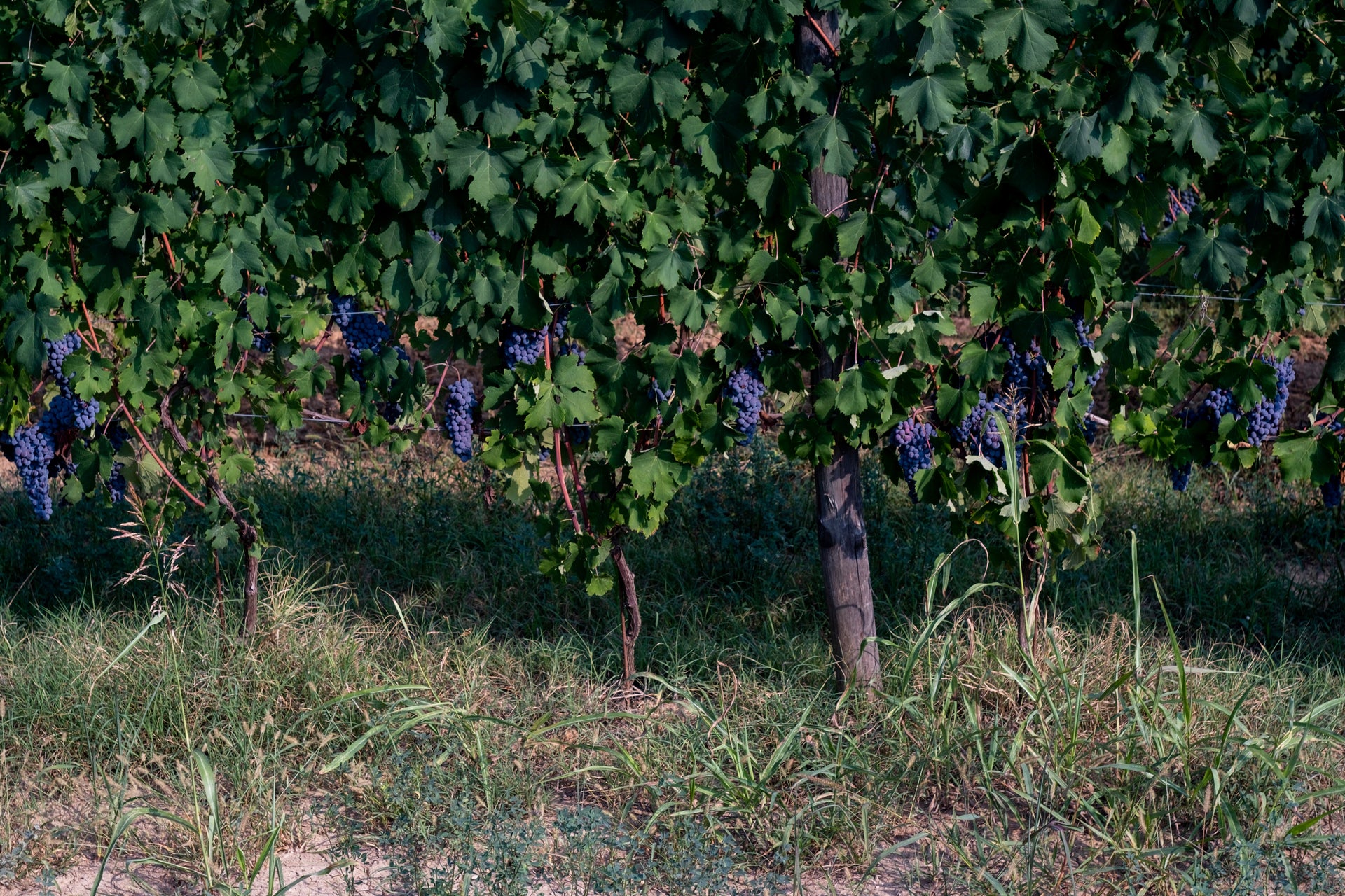 Vanderbilt Ave Wine Merchants • 573 Vanderbilt Ave, Brooklyn, NY